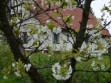 Penzion Rališka